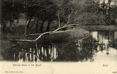 16301 Gezicht op de grote vijver met omringende naaldbomen in het Zeister Bosch te Zeist; met op de voorgrond de ...